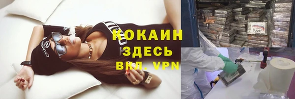 mdpv Пересвет