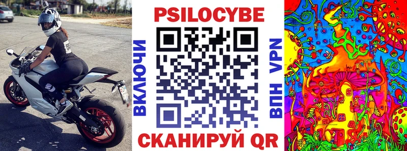 купить наркотик Бодайбо Псилоцибиновые грибы Psilocybine cubensis